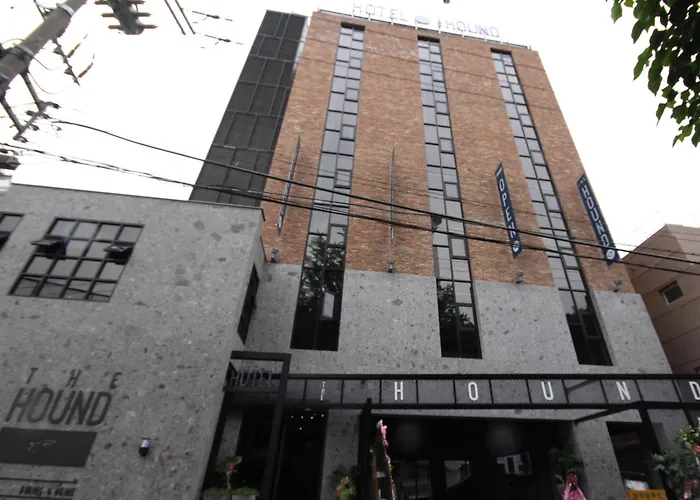 ザ ハウンド 釜山広域市